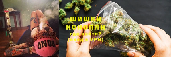 PSILOCYBIN Богородицк