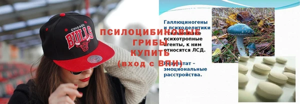 а пвп мука Богданович