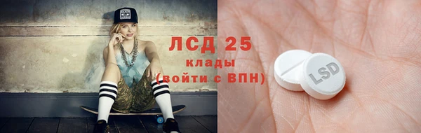 PSILOCYBIN Богородицк