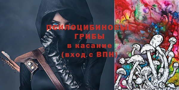 дмт Богородск
